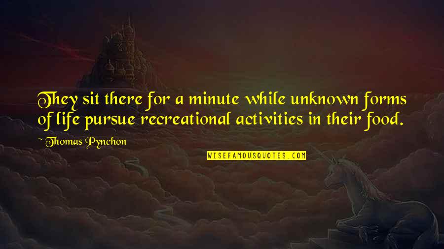 Recreational Activities Quotes By Thomas Pynchon: They sit there for a minute while unknown