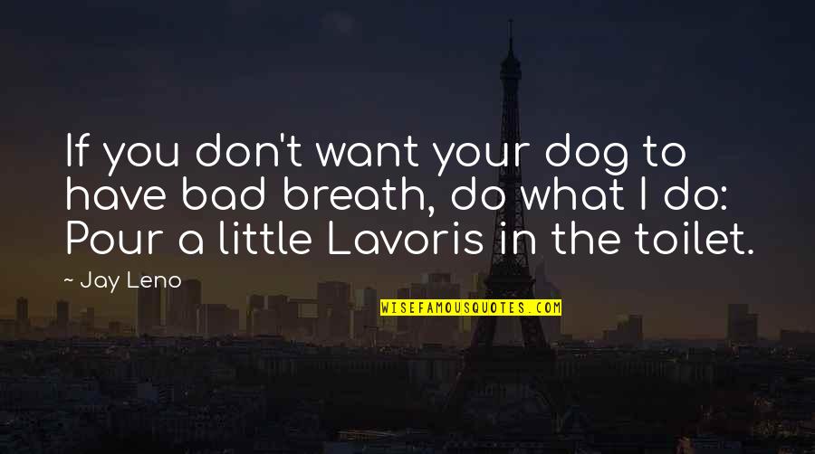 Recreationally Dictionary Quotes By Jay Leno: If you don't want your dog to have