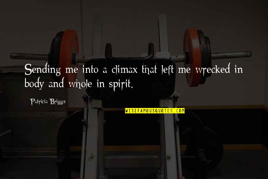 Rections Quotes By Patricia Briggs: Sending me into a climax that left me