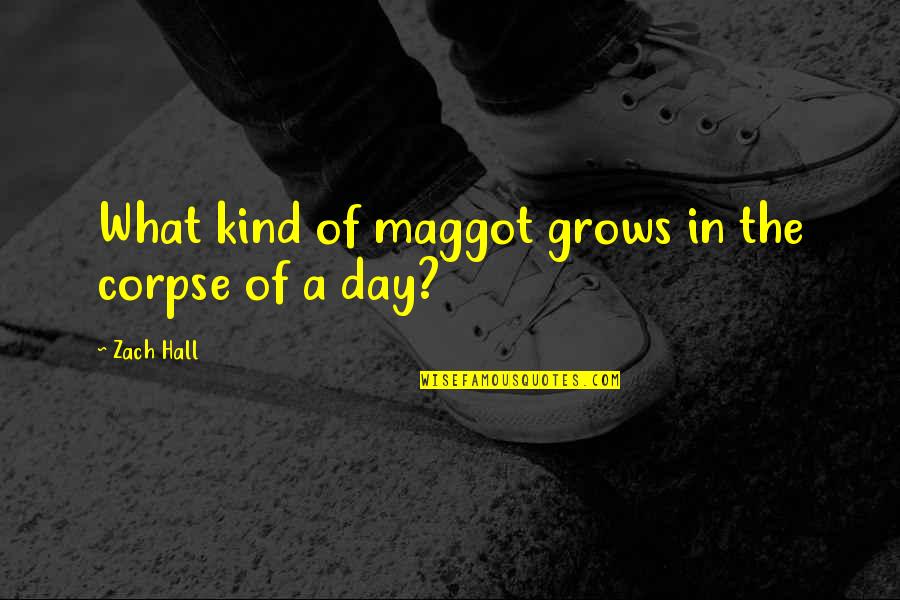 Rectorseal Quotes By Zach Hall: What kind of maggot grows in the corpse