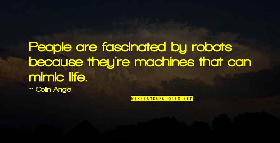 Rectosigmoid Quotes By Colin Angle: People are fascinated by robots because they're machines