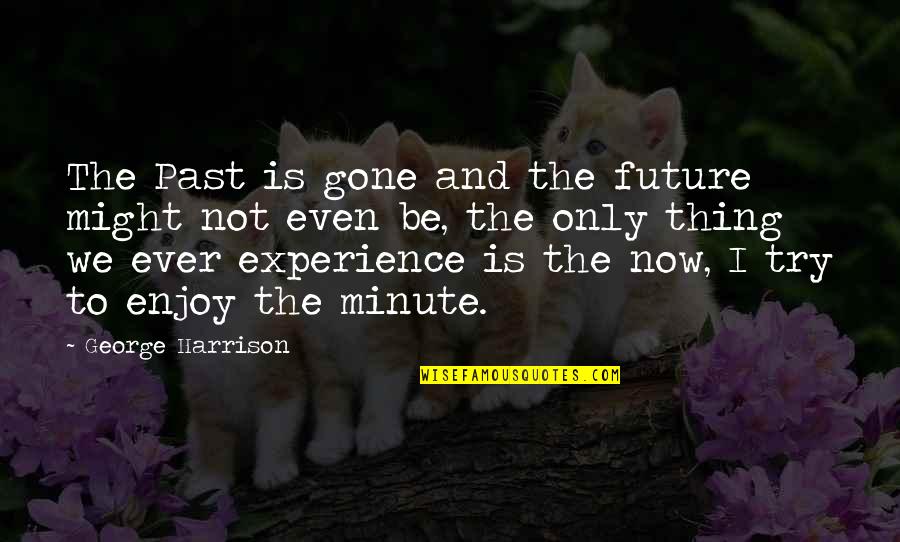 Recurrently Thesaurus Quotes By George Harrison: The Past is gone and the future might Recurrently Thesaurus Quotes By George Harrison: The Past is gone and the future might