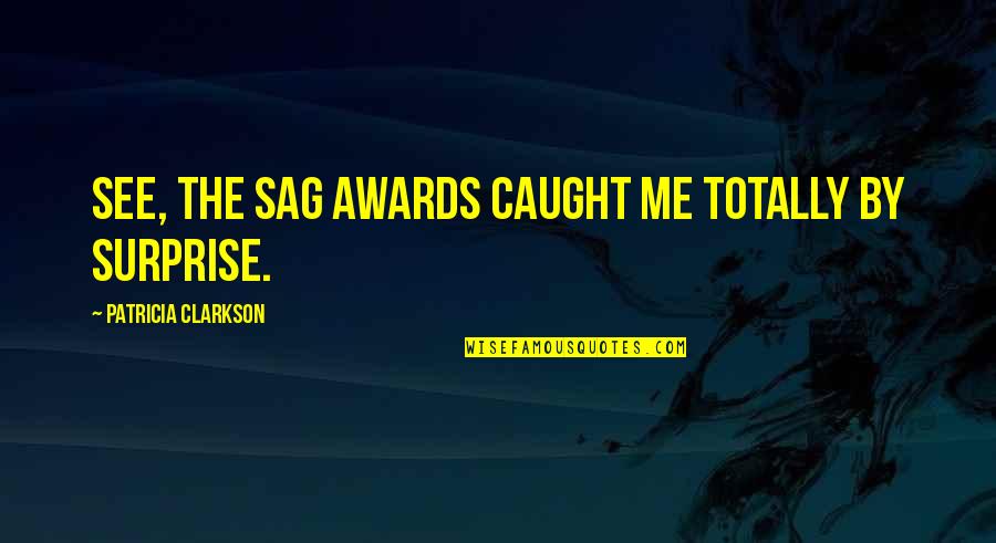 Recursos Naturales Quotes By Patricia Clarkson: See, the SAG awards caught me totally by Recursos Naturales Quotes By Patricia Clarkson: See, the SAG awards caught me totally by