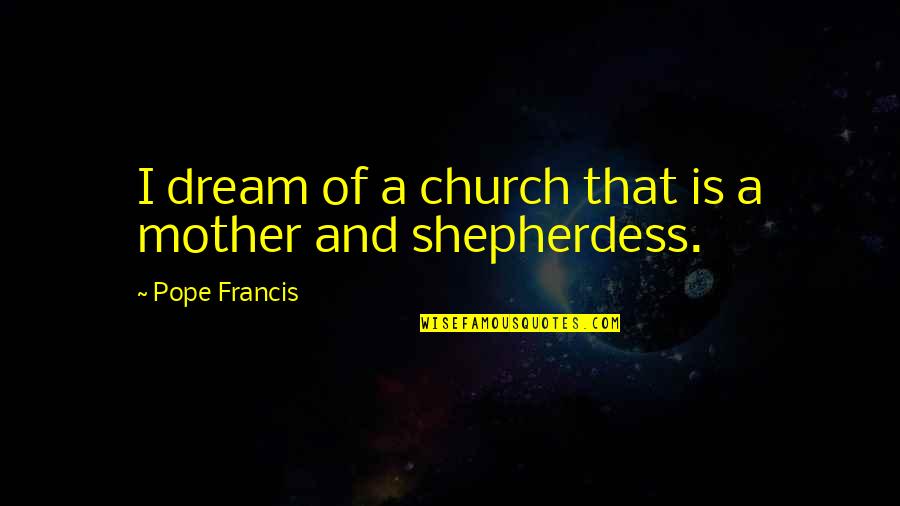 Recyclables Quotes By Pope Francis: I dream of a church that is a