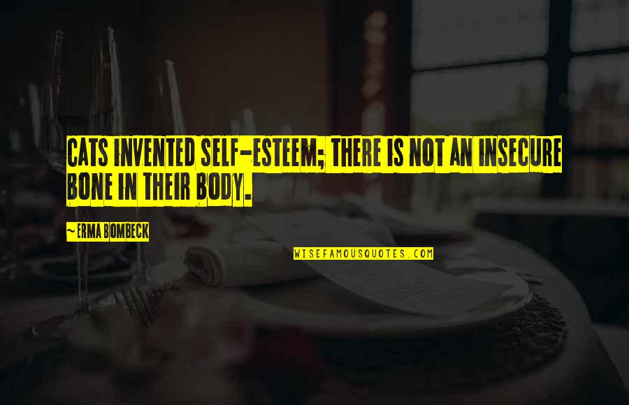 Recycling Feelings Quotes By Erma Bombeck: Cats invented self-esteem; there is not an insecure