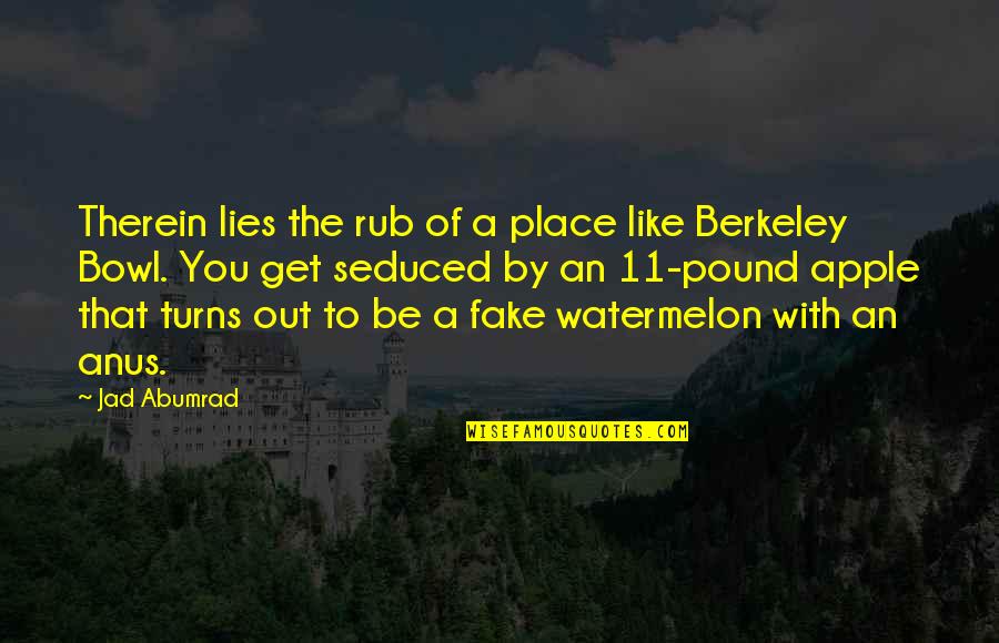 Recycling Feelings Quotes By Jad Abumrad: Therein lies the rub of a place like