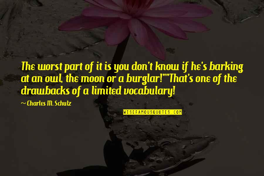 Red Birds Quotes By Charles M. Schulz: The worst part of it is you don't Red Birds Quotes By Charles M. Schulz: The worst part of it is you don't