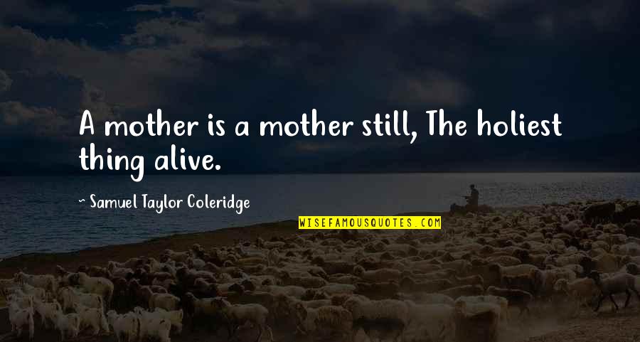 Red Heels Quotes By Samuel Taylor Coleridge: A mother is a mother still, The holiest