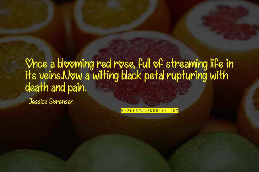 Red Life Quotes By Jessica Sorensen: Once a blooming red rose, full of streaming