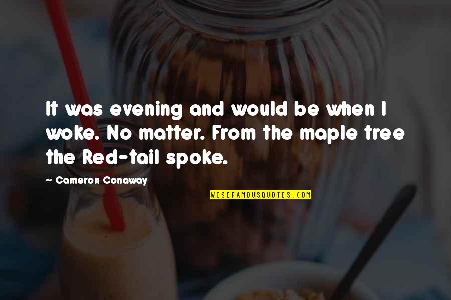 Red Maple Quotes By Cameron Conaway: It was evening and would be when I