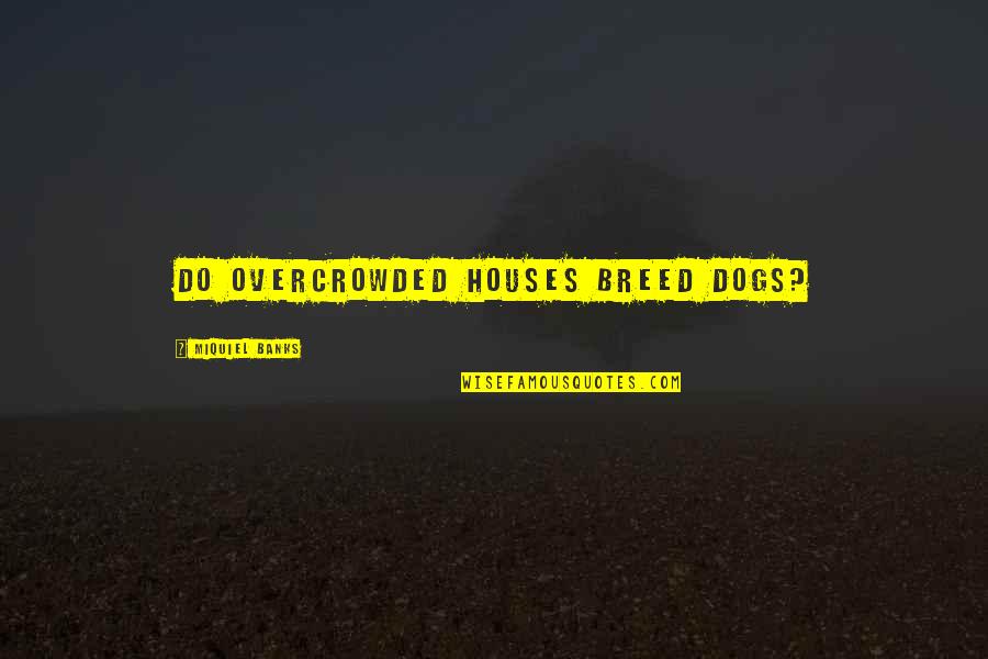 Red Morning Sky Quotes By Miquiel Banks: Do overcrowded houses breed dogs? Red Morning Sky Quotes By Miquiel Banks: Do overcrowded houses breed dogs?