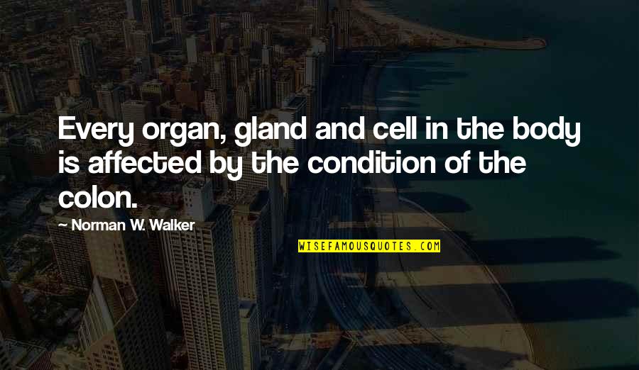 Red Pocket Quotes By Norman W. Walker: Every organ, gland and cell in the body
