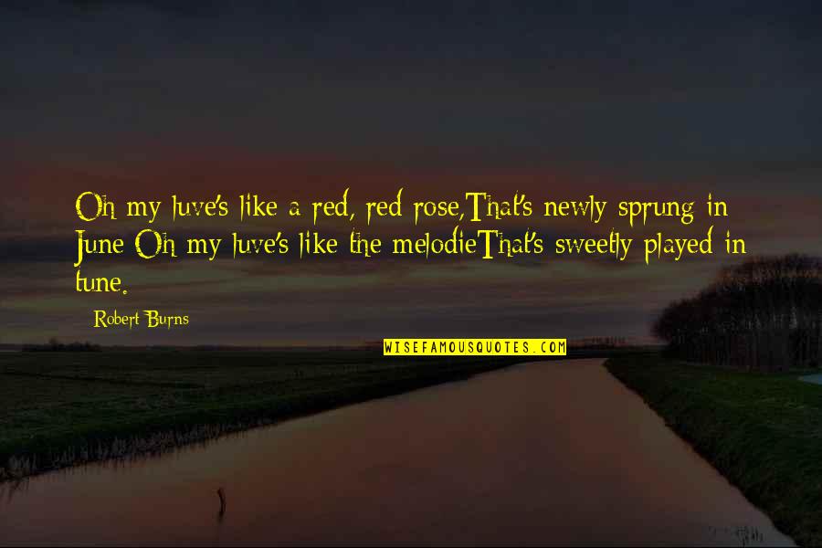 Red Rose Quotes By Robert Burns: Oh my luve's like a red, red rose,That's