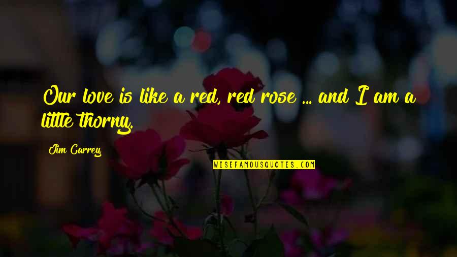Red Rose With Quotes By Jim Carrey: Our love is like a red, red rose