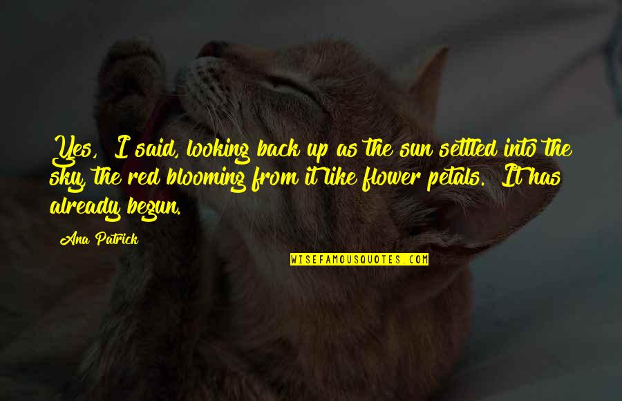 Red Sun Quotes By Ana Patrick: Yes," I said, looking back up as the