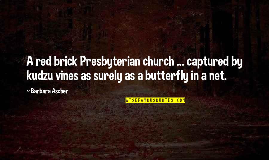 Red Vines Quotes By Barbara Ascher: A red brick Presbyterian church ... captured by