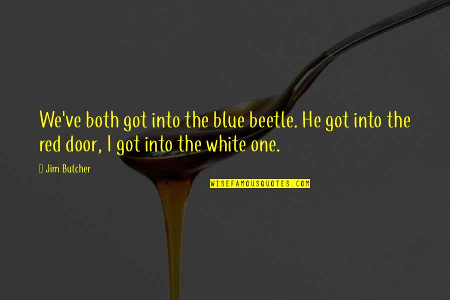 Red Vs Blue Quotes By Jim Butcher: We've both got into the blue beetle. He