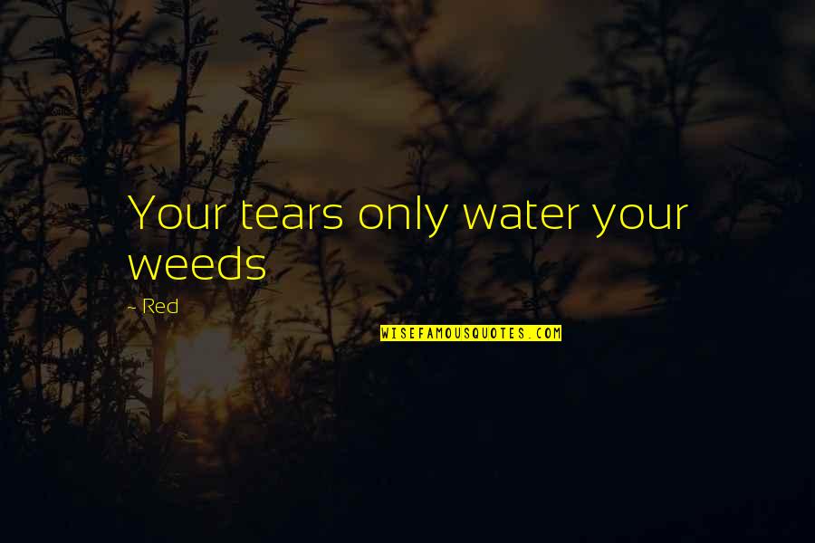 Red Water Quotes By Red: Your tears only water your weeds