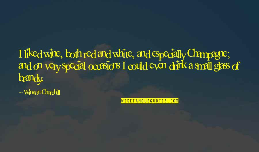 Red Wine Quotes By Winston Churchill: I liked wine, both red and white, and Red Wine Quotes By Winston Churchill: I liked wine, both red and white, and