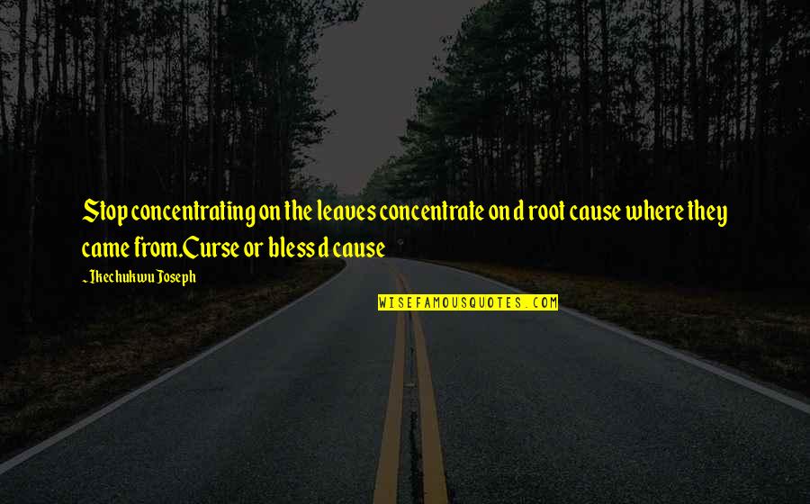 Redbox Quotes By Ikechukwu Joseph: Stop concentrating on the leaves concentrate on d Redbox Quotes By Ikechukwu Joseph: Stop concentrating on the leaves concentrate on d
