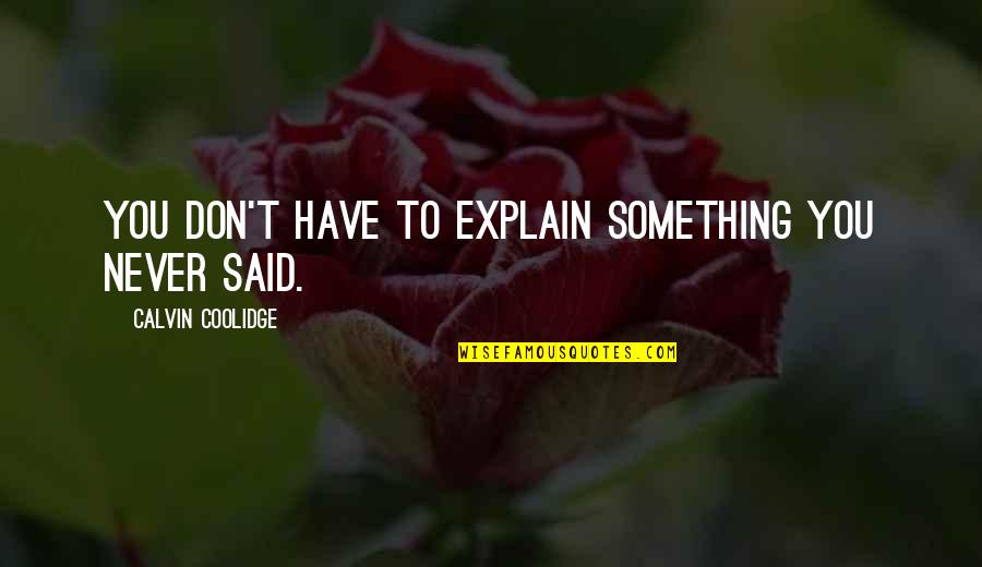 Reddiwhip Quotes By Calvin Coolidge: You don't have to explain something you never Reddiwhip Quotes By Calvin Coolidge: You don't have to explain something you never