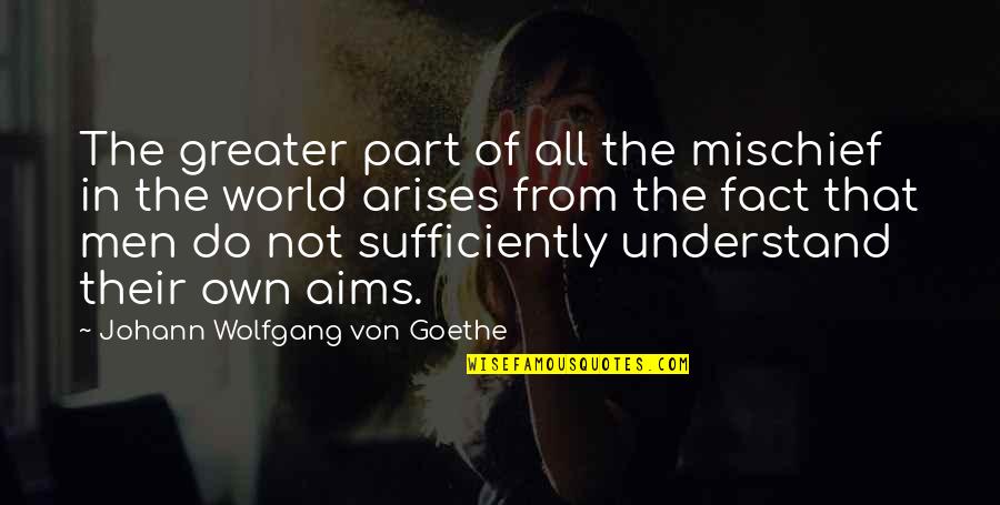 Redeamed Quotes By Johann Wolfgang Von Goethe: The greater part of all the mischief in
