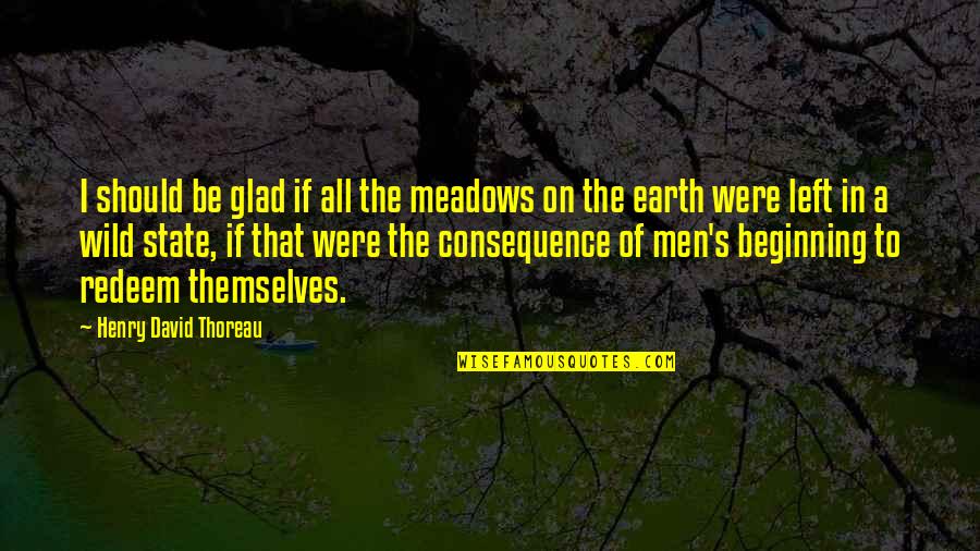 Redeem Quotes By Henry David Thoreau: I should be glad if all the meadows