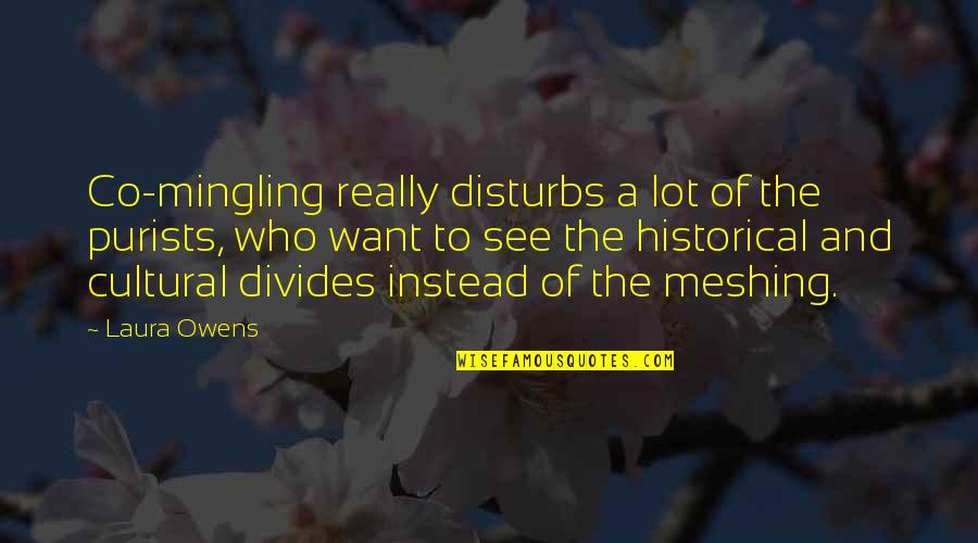 Redeemera Quotes By Laura Owens: Co-mingling really disturbs a lot of the purists,