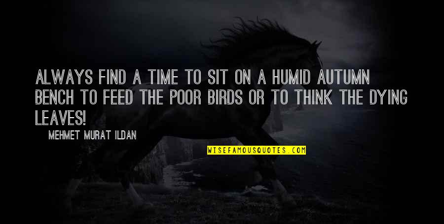 Redef Quotes By Mehmet Murat Ildan: Always find a time to sit on a
