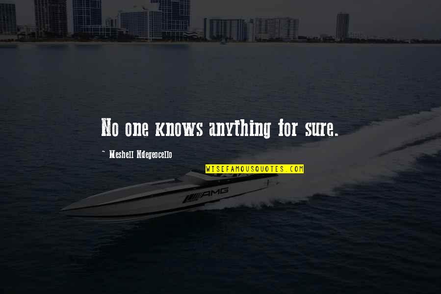 Redelijk En Quotes By Meshell Ndegeocello: No one knows anything for sure.