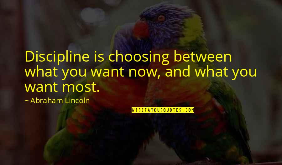 Redentor Definicion Quotes By Abraham Lincoln: Discipline is choosing between what you want now,
