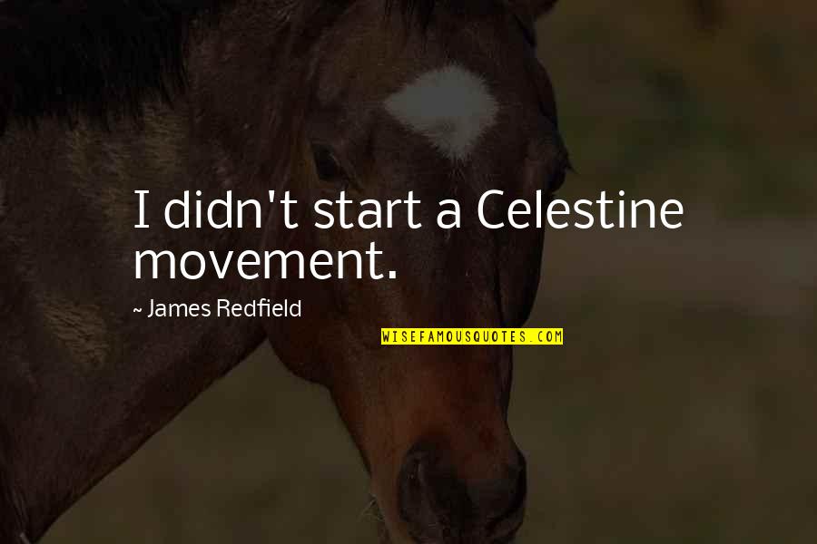 Redfield Quotes By James Redfield: I didn't start a Celestine movement. Redfield Quotes By James Redfield: I didn't start a Celestine movement.