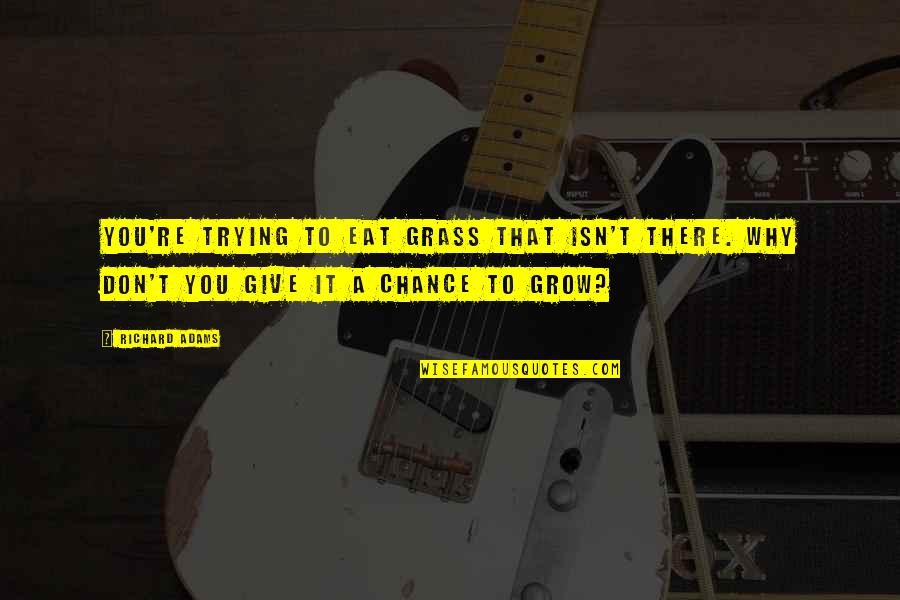 Redheads Have More Fun Quotes By Richard Adams: You're trying to eat grass that isn't there.