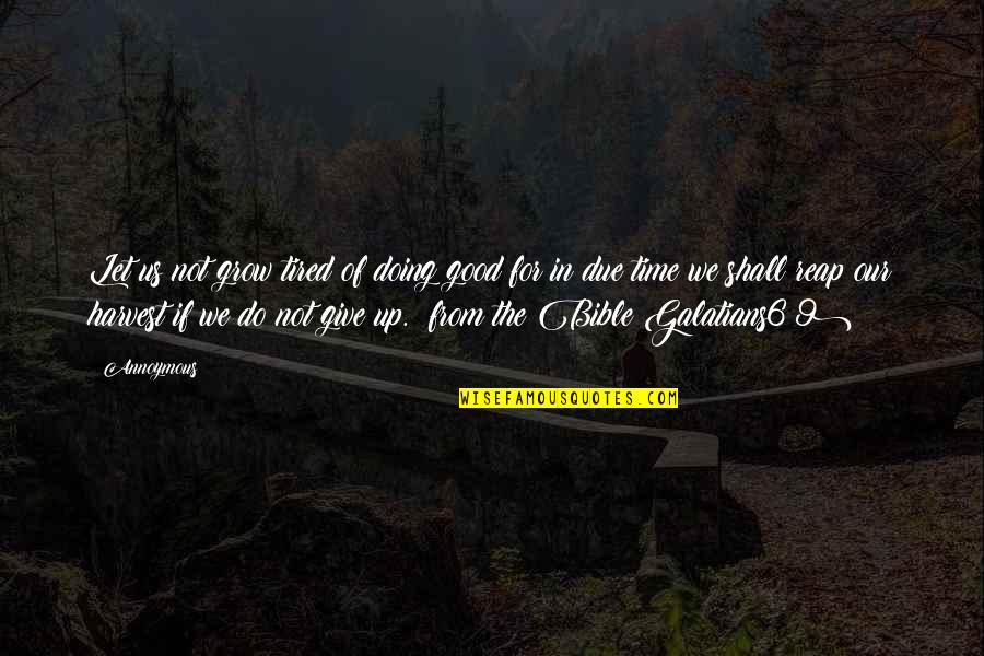 Redleaf Rose Quotes By Annoymous: Let us not grow tired of doing good Redleaf Rose Quotes By Annoymous: Let us not grow tired of doing good