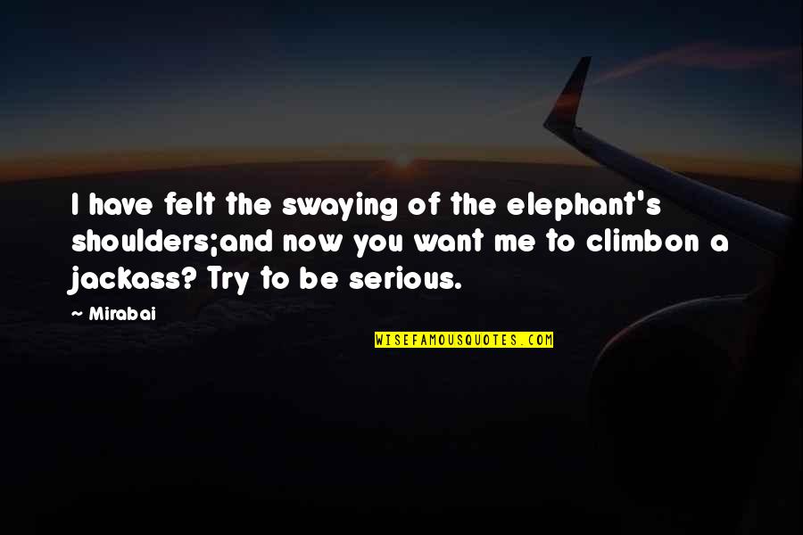 Redley Swim Quotes By Mirabai: I have felt the swaying of the elephant's Redley Swim Quotes By Mirabai: I have felt the swaying of the elephant's
