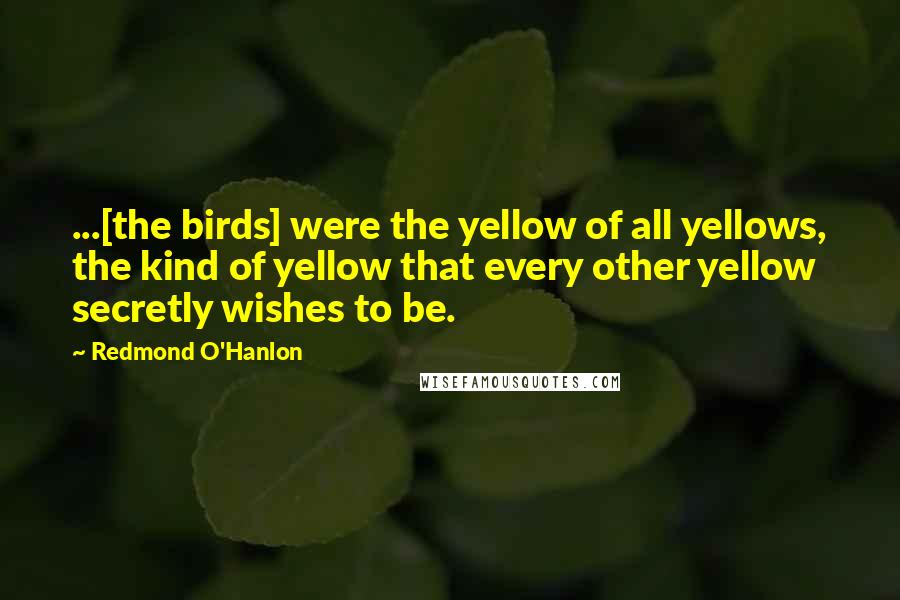 Redmond O'Hanlon quotes: ...[the birds] were the yellow of all yellows, the kind of yellow that every other yellow secretly wishes to be.