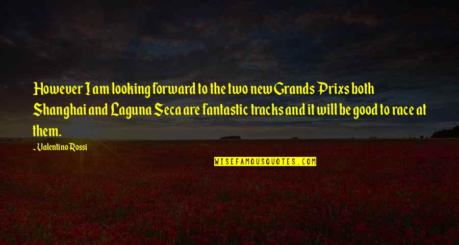 Rednour Family History Quotes By Valentino Rossi: However I am looking forward to the two