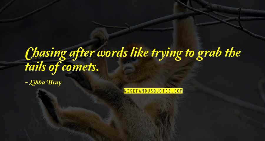 Redolent Log Quotes By Libba Bray: Chasing after words like trying to grab the
