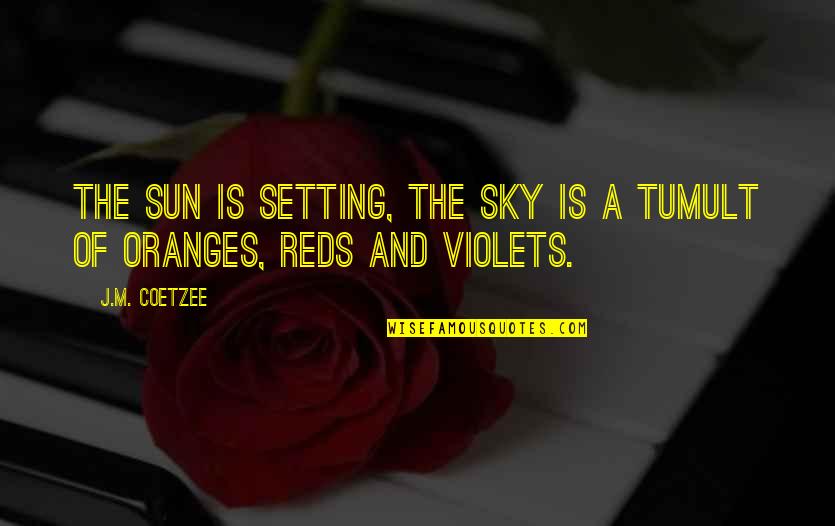 Reds 2 Quotes By J.M. Coetzee: The sun is setting, the sky is a