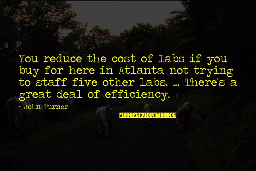 Reduce Cost Quotes By John Turner: You reduce the cost of labs if you