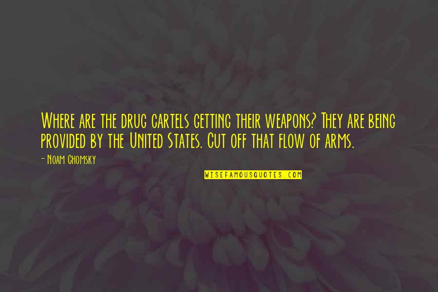 Reduce Obesity Quotes By Noam Chomsky: Where are the drug cartels getting their weapons? Reduce Obesity Quotes By Noam Chomsky: Where are the drug cartels getting their weapons?