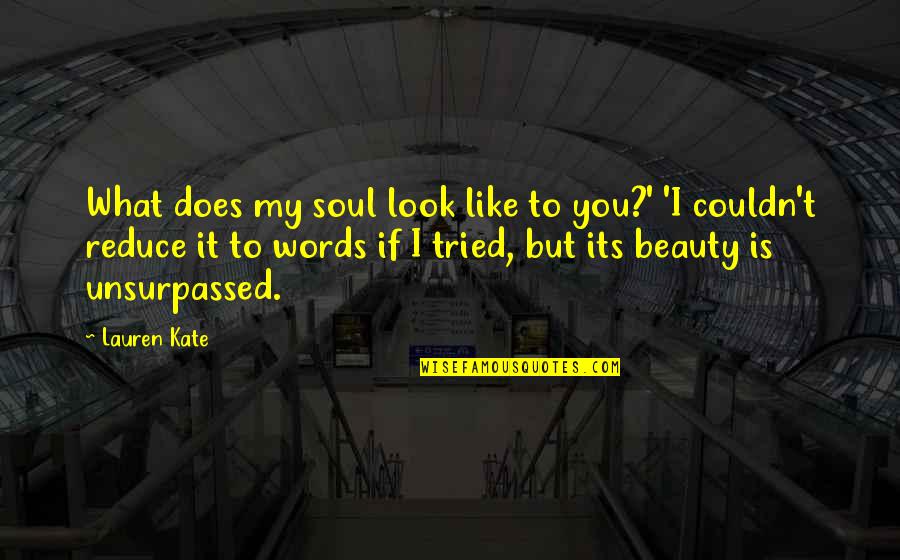 Reduce Quotes By Lauren Kate: What does my soul look like to you?'