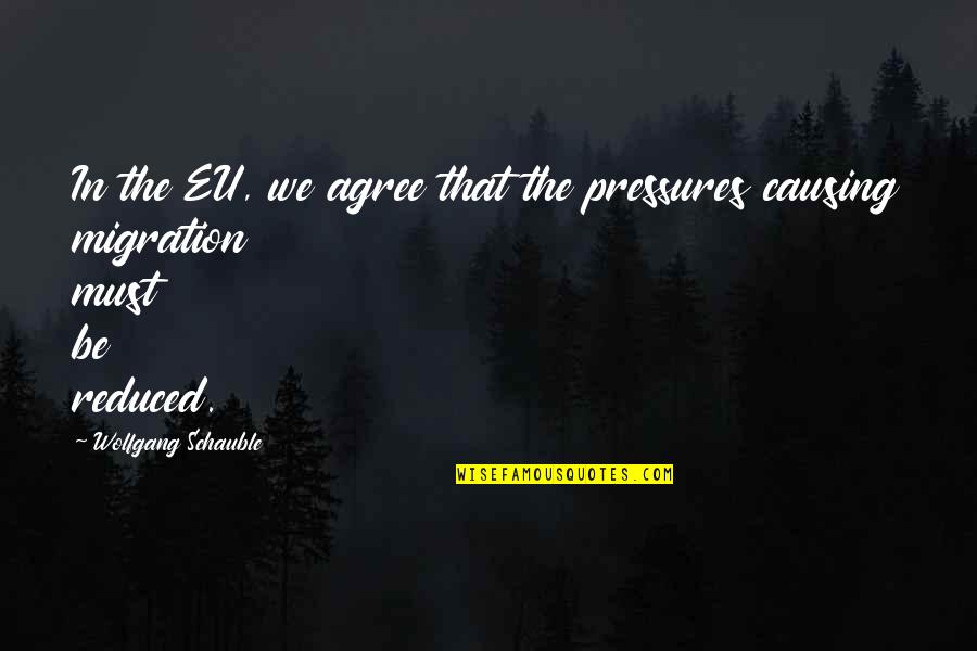 Reduced Pressure Quotes By Wolfgang Schauble: In the EU, we agree that the pressures