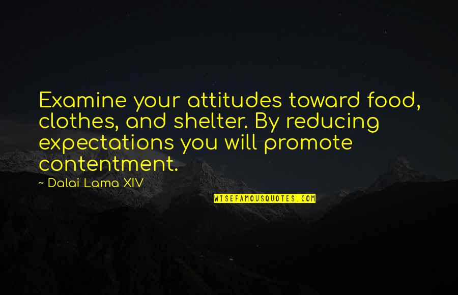 Reducing Quotes By Dalai Lama XIV: Examine your attitudes toward food, clothes, and shelter.
