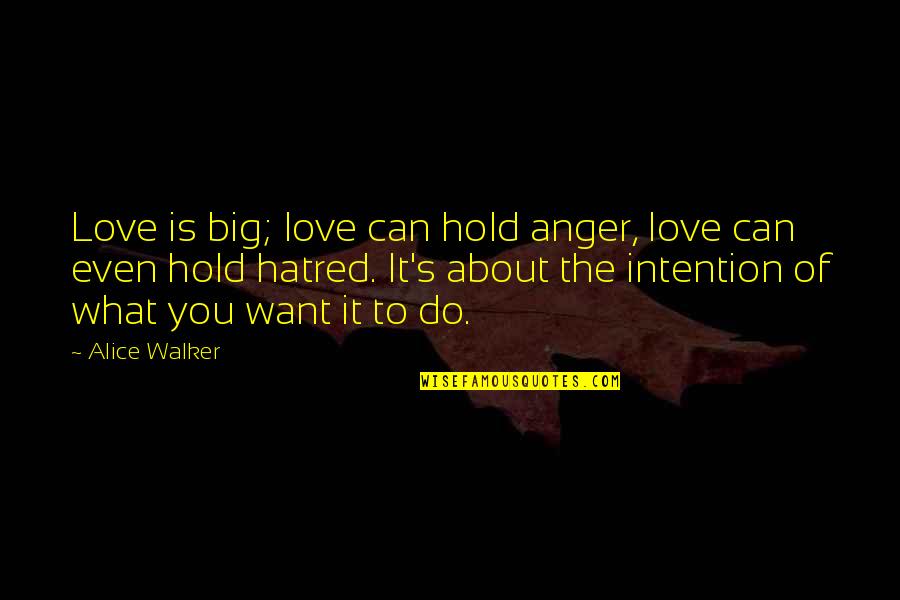 Reductionists Quotes By Alice Walker: Love is big; love can hold anger, love