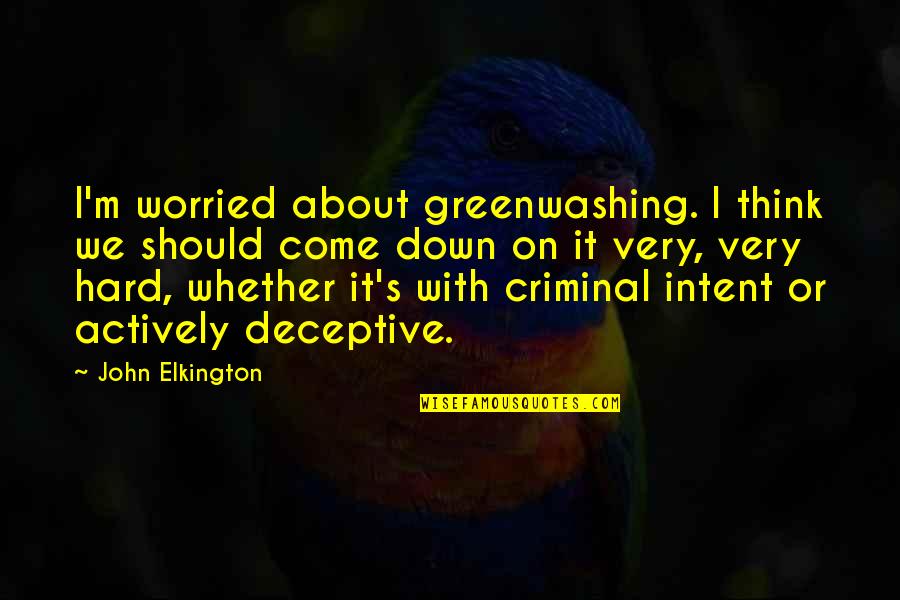 Reductiveness Quotes By John Elkington: I'm worried about greenwashing. I think we should