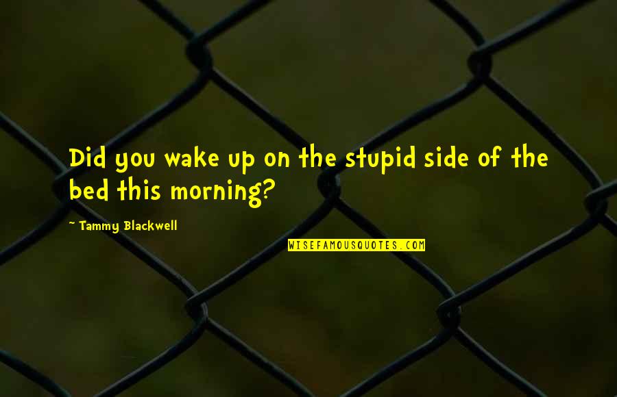 Redundance Quotes By Tammy Blackwell: Did you wake up on the stupid side