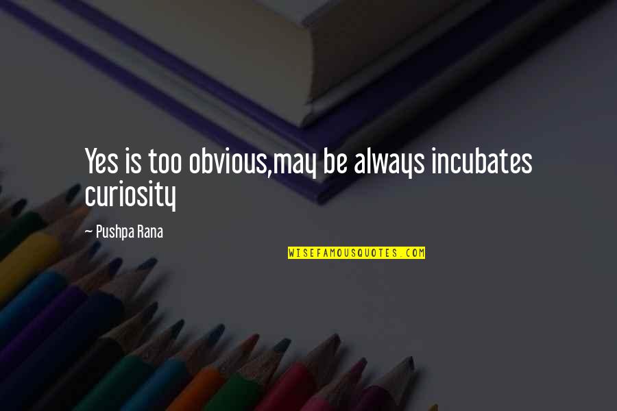 Reebie Movers Quotes By Pushpa Rana: Yes is too obvious,may be always incubates curiosity