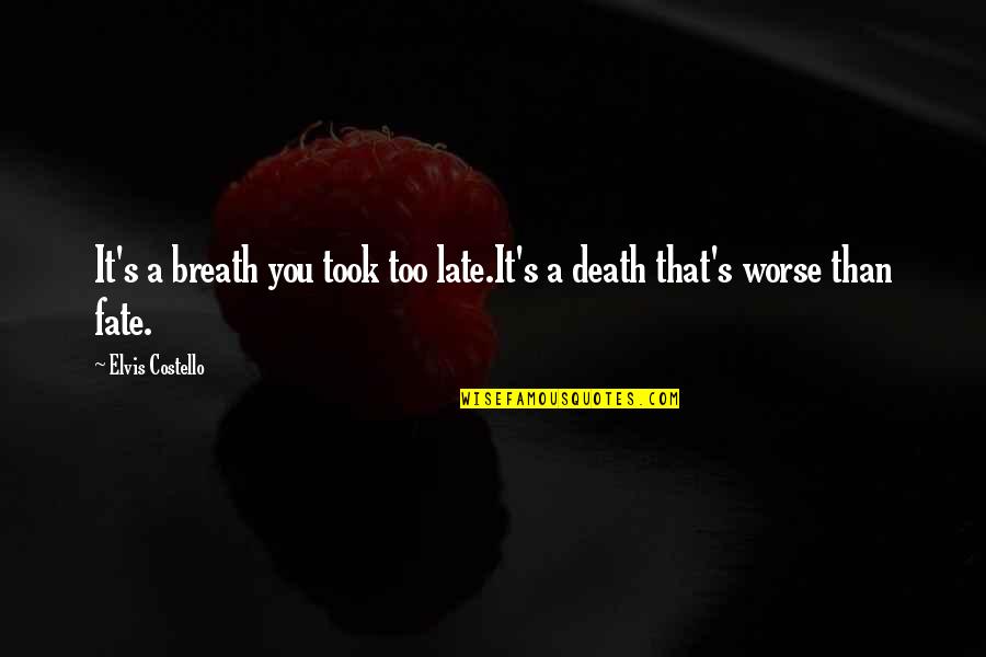 Reecho Quotes By Elvis Costello: It's a breath you took too late.It's a