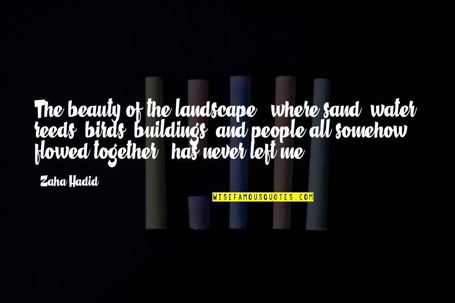 Reeds Quotes By Zaha Hadid: The beauty of the landscape - where sand,